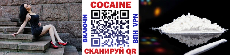 Купить закладки  Ртищево  COCAIN FishScale 