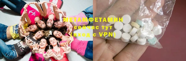 индика Гусь-Хрустальный
