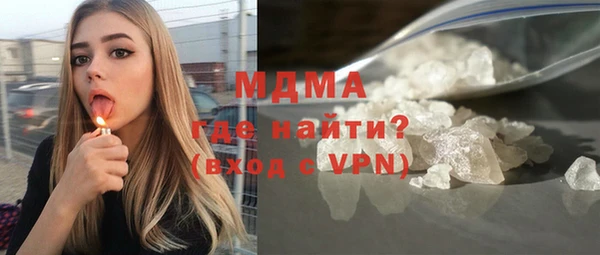 индика Гусь-Хрустальный
