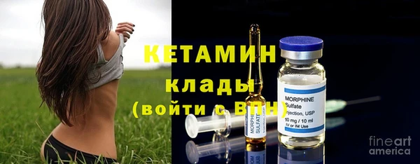 твердый Дмитровск