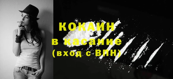индика Гусь-Хрустальный