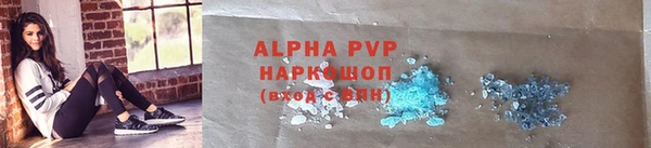 индика Гусь-Хрустальный