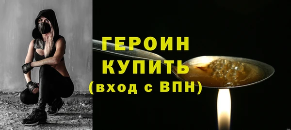 индика Гусь-Хрустальный