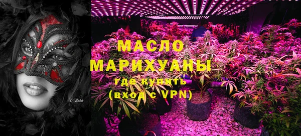 индика Гусь-Хрустальный