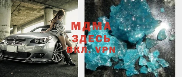 индика Гусь-Хрустальный