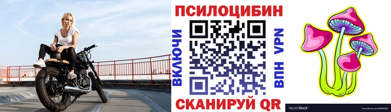 Купить закладки  Ртищево  Галлюциногенные грибы мицелий 